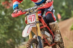 gfotos_d75_004