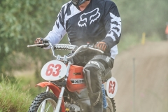 gfotos_d75_5321