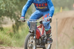 gfotos_d75_5333