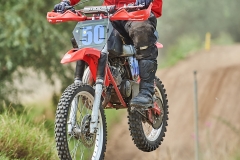 gfotos_d75_5334