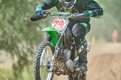 gfotos_d75_5337