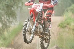 gfotos_d75_5338