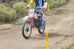 gfotos_d75_5340