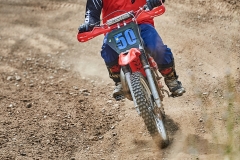 gfotos_d75_5349