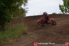 20170617biebesheim-moc-010