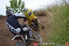 20170617biebesheim-moc-018
