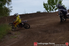 20170617biebesheim-moc-020