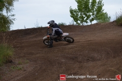 20170617biebesheim-moc-021