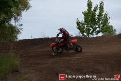 20170617biebesheim-moc-029