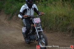 20170617biebesheim-moc-091