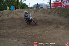 20170617biebesheim-moc-093