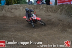 20170617biebesheim-moc-177